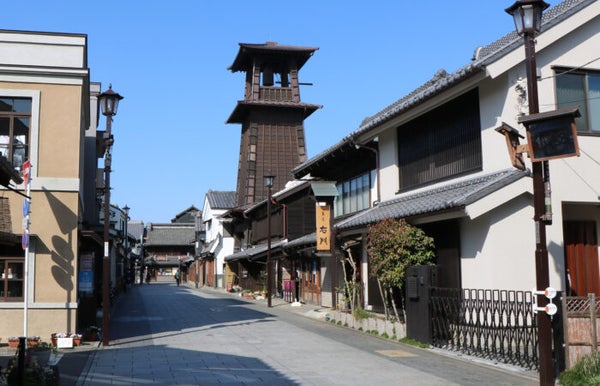 【横浜発】 幸手権現堂さくら 関東屈指の桜名所・幸手権現堂桜堤と小江戸川越情緒探訪2